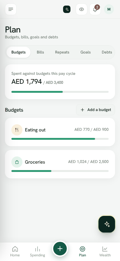 Screenshot: Plan, Budgets tab